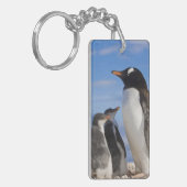 Porte-clés Antarctique, Neko Cove (Port). Pingouin Gentoo 2 (Devant gauche)