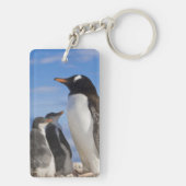 Porte-clés Antarctique, Neko Cove (Port). Pingouin Gentoo 2 (Dos)