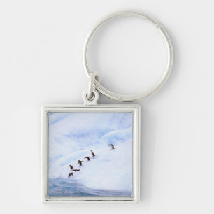 Porte-clés Antarctique, péninsule Antarctique. Chinstrap