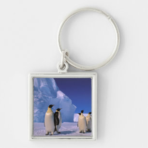 Porte-clés Antarctique, Territoire antarctique australien, 7