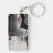 Porte-clés Aonyx cinerea (Dos)