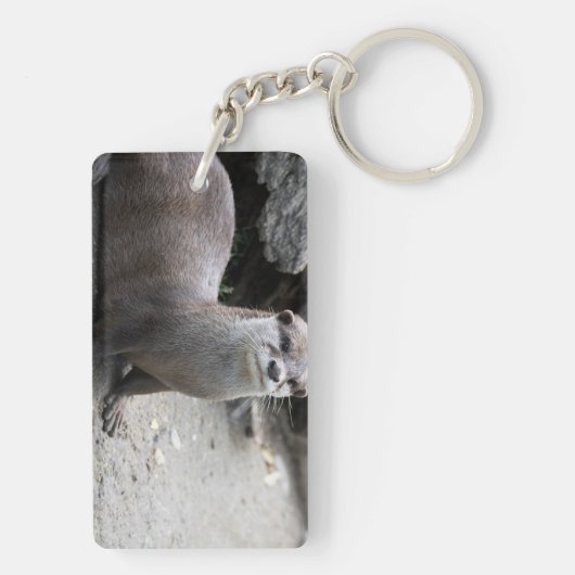 Porte-clés Aonyx cinerea (Dos)