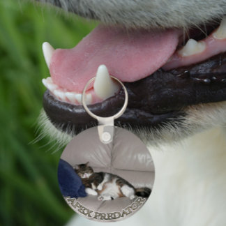 Porte-clés Apex Predator Fat lazy cat keychain