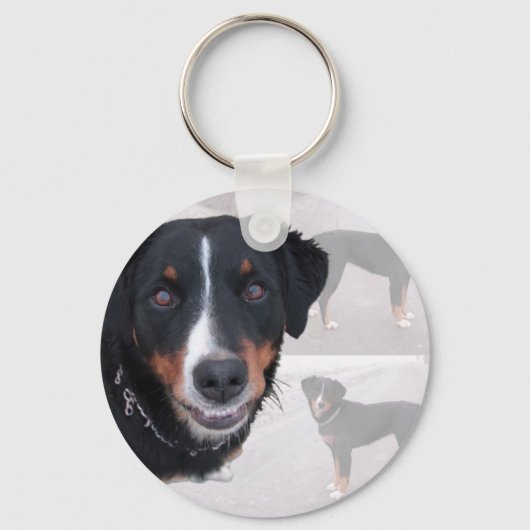 Porte-clés Appenzeller Sennenhund (Recto)