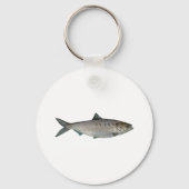 Porte-clés Aquarelle Hicky Shad (Recto)