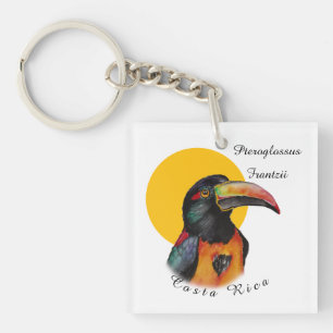 Porte-clés Aquarelle toucan