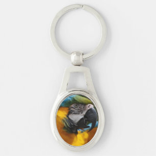Porte-clés Ara hérissé de bleu et d'or
