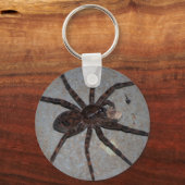 Porte-clés araignée de loup avec porte - clé (Recto)