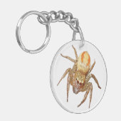 Porte-clés Araignée sauteuse dimorphe (Maevia inclemens) (Devant gauche)
