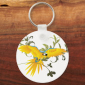 Porte-clés Arara-canindé (Recto)