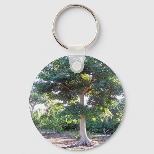 Porte-clés Arbre de la sagesse porte - clé (Recto)