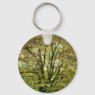 Porte-clés Arbre de marron d'Inde d'automne