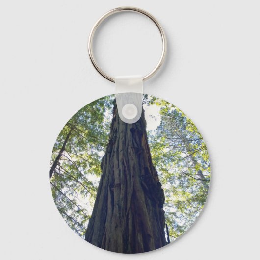 Porte-clés Arbre séquoia géant (Recto)