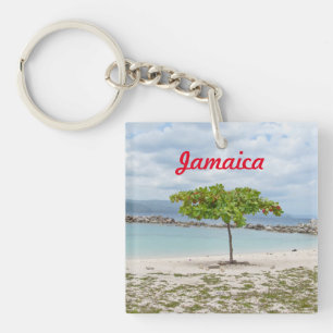 PORTE-CLÉS ARBRE SUR LA PLAGE EN JAMAÏQUE PORTE - CLÉ