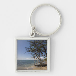 Porte-clés Arbre sur une plage le long du littoral