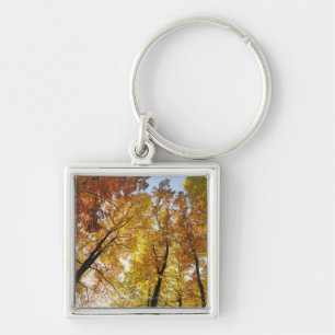 Porte-clés Arbres colorés