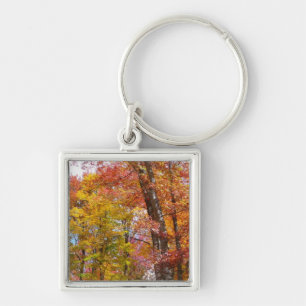Porte-clés Arbres d'automne orange et jaune Photographie d'au
