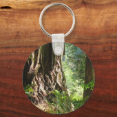 Porte-clés Arbres de séquoia (Recto)