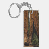 Porte-clés Arbres de séquoia, Parc national de Sequoia. (Devant gauche)