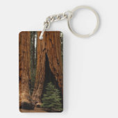 Porte-clés Arbres de séquoia, Parc national de Sequoia. (Dos)
