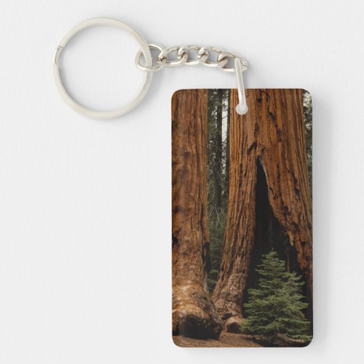 Porte-clés Arbres de séquoia, Parc national de Sequoia. (Devant)