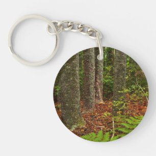 Porte-clés Arbres Kuri Nouvelle-Zélande