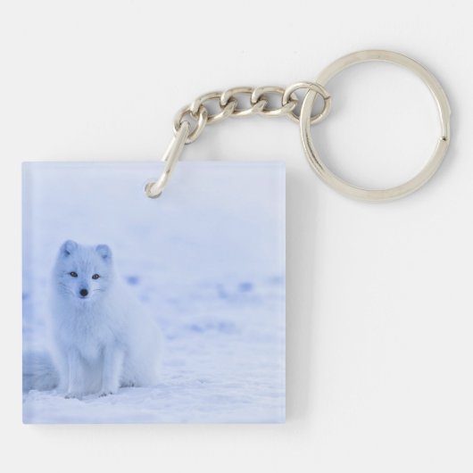 Porte-clés Arctic Fox, Islande, photo, (Dos)