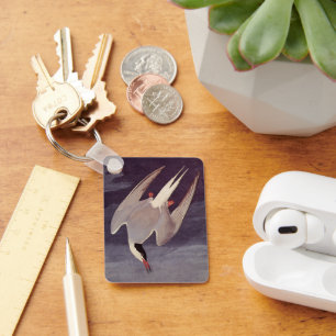 Porte-clés Arctic Tern by John James Audubon, Vintage Birds