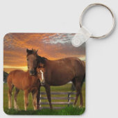 Porte-clés Arizona Chevaux sauvages (Dos)