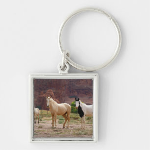 Porte-clés Arizona, réserve indienne navajo, Chinle,