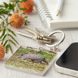 Porte-clés Armadillo