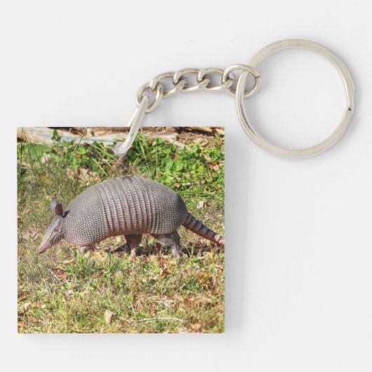 Porte-clés Armadillo (Dos)