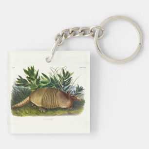 Porte-clés Armadillo à nez long, à neuf bandes, par Audubon