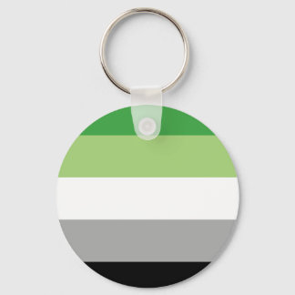 Porte-clés Aromantic Flag Button Keychain