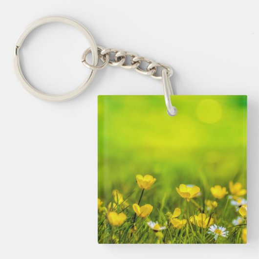 Porte-clés Arrière - plan des fleurs de printemps (Devant)
