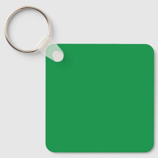 Porte-clés Arrière - plan vert avec bordure blanche pour Aest (Recto)