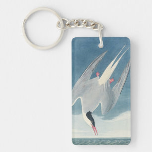 Porte-clés Art côtier vintage de la sterne arctique d'Audubon