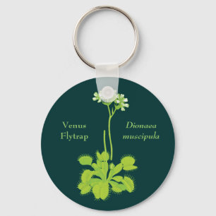 Porte-clés Art floral d'attrape-mouche de Vénus