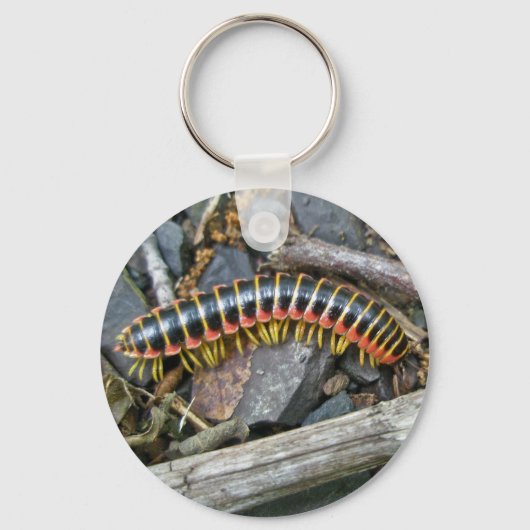 Porte-clés Articles de série Millipede (Recto)