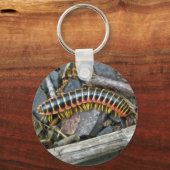 Porte-clés Articles de série Millipede (Recto)