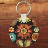 Porte-clés Ascidiae, Seescheiden Marine Life par Ernst Haecke (Recto)