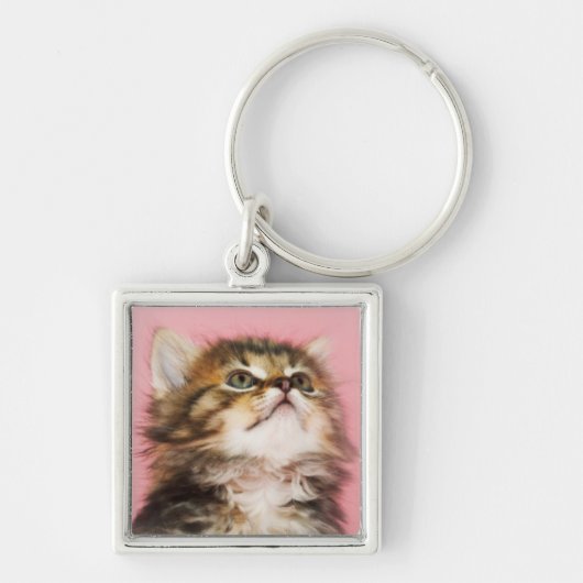 Porte-clés Assez dans le chaton rose (Devant)