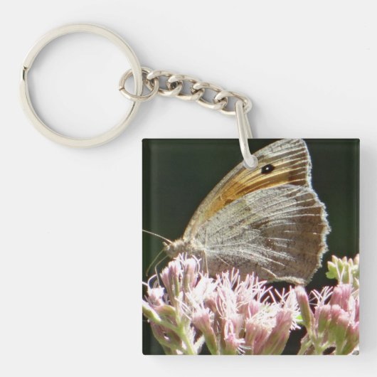 Porte-clés Assez gros papillon  (Devant)