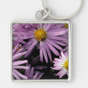 Porte-clés Aster