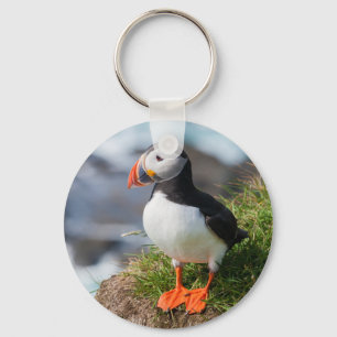 Porte-clés Atlantic Puffin Fratercula Arctica