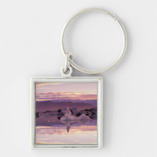 Porte-clés Atlantique Nord, Islande, Breioamerkurjokull