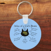 Porte-clés Atlas du cerveau d'un chat (Recto)