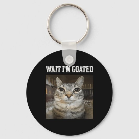 Porte-clés Attends, Je Suis Chat Humour Mème (Recto)