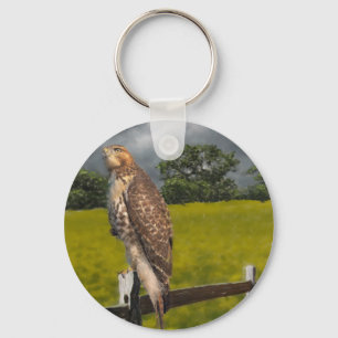 Porte-clés Attente de la tempête - Red tail Hawk