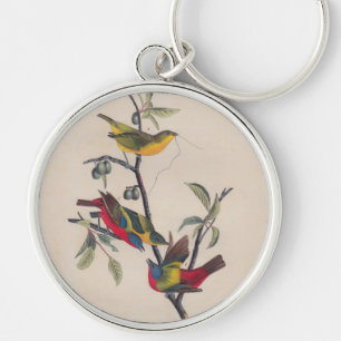Porte-clés Audubon Painted Bunting Bird Wildlife